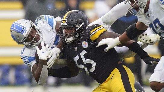 Steelers' Devin Bush vs. Lions Steelers' Devin Bush vs. Lions