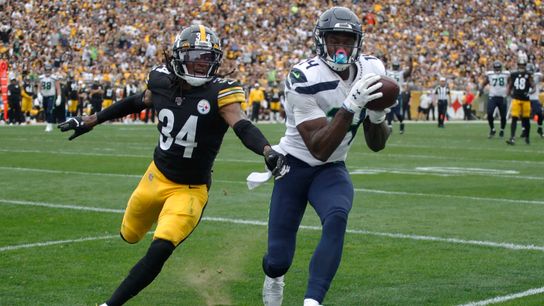 DK Metcalf catches a touchdown against Terrell Edmunds and the Steelers DK Metcalf catches a touchdown against Terrell Edmunds and the Steelers