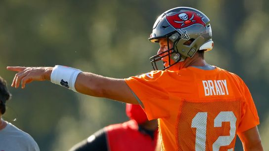 Steelers Tom Brady Steelers Tom Brady