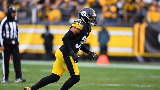 Steelers Minkah Fitzpatrick