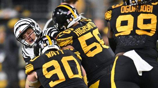 steelers, Alex highsmith, tj watt, 2022