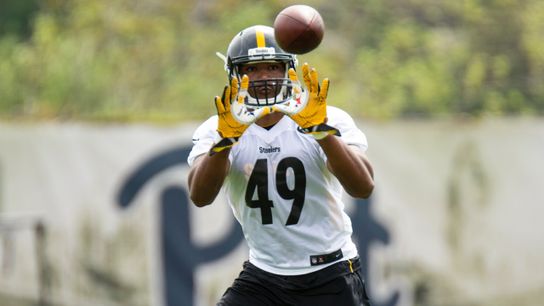 Do the Steelers Already Have Their TE of the Future? (Steelers News)