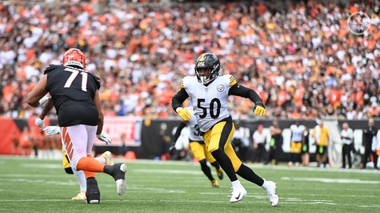 Steelers OLB Malik Reed rushes the passer against the Bengals in Week 1 Steelers OLB Malik Reed rushes the passer against the Bengals in Week 1