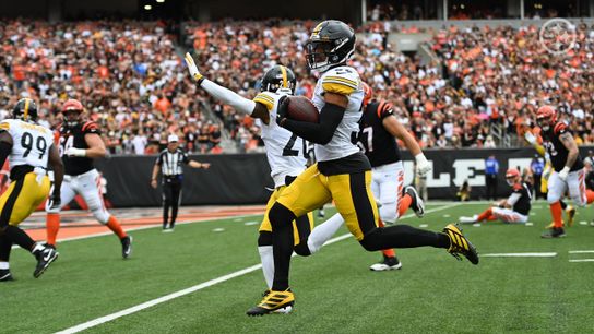 Steelers safety Minkah Fitzpatrick Steelers safety Minkah Fitzpatrick