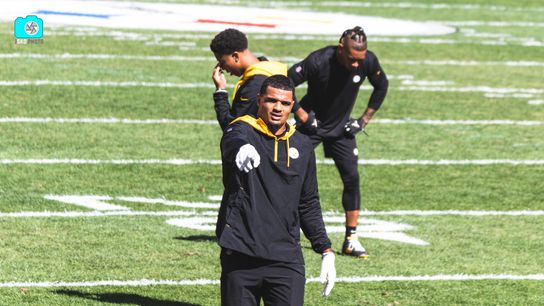 Steelers Minkah Fitzpatrick Steelers Minkah Fitzpatrick
