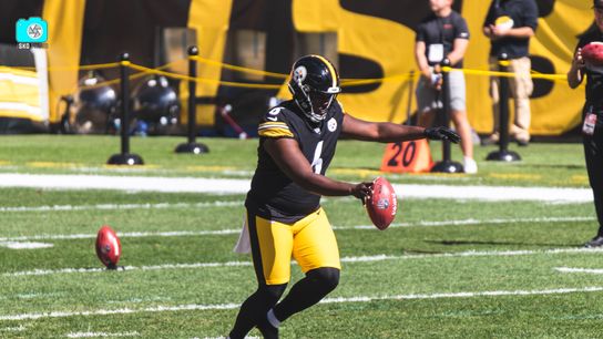 Steelers Pressley Harvin Steelers Pressley Harvin