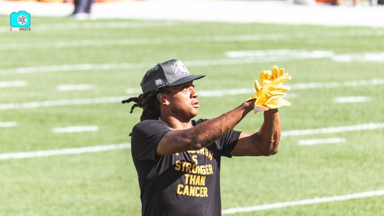 Steelers Terrell Edmunds Steelers Terrell Edmunds