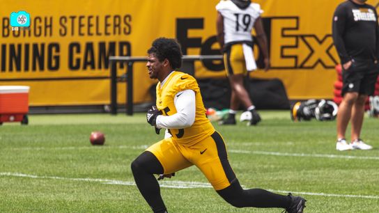 Steelers linebacker Devin Bush