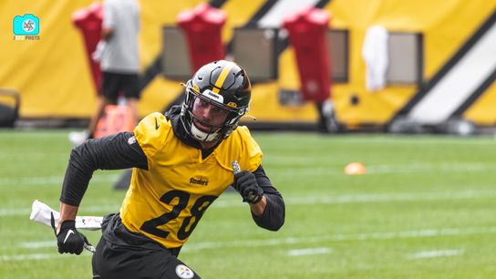 Steelers Miles Killebrew (28) Steelers Miles Killebrew (28)