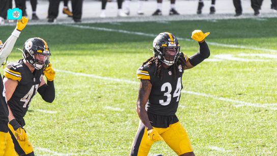 Jordan Schofield / SteelerNation (Twitter JSKO_PHOTO)
Jordan Schofield / SteelerNation (Twitter JSKO_PHOTO)