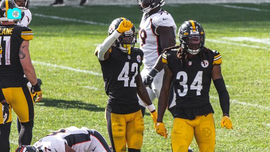 Steelers DBs James Pierre Terrell Edmunds