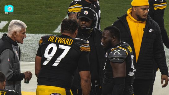 Mike Tomlin Cam Heyward