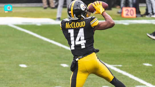 Former Steelers Returner To Miss Week 1 Matchup Due To Wrist Injury; Benny Snell Jr. Heads To NFC North (Steelers News)