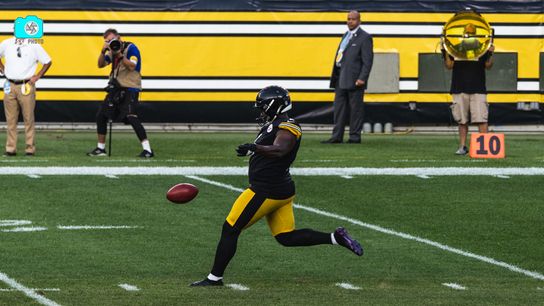 Steelers Pressley Harvin Steelers Pressley Harvin