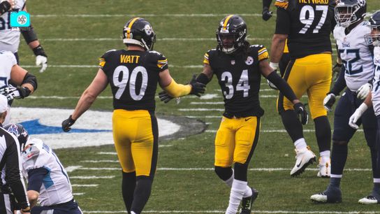 Steelers TJ Watt Terrell Edmunds Steelers TJ Watt Terrell Edmunds