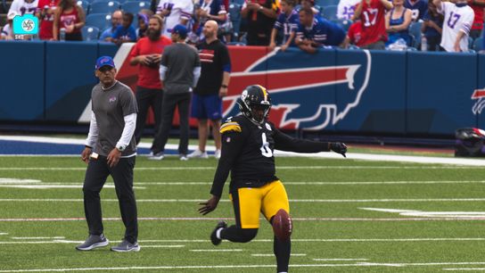 Steelers Top 3 Great Options To Replace Pressley Harvin III In 2024 (Steelers News)