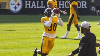 Steelers CB DeMarkus Acy Tears ACL (Training Camp)
