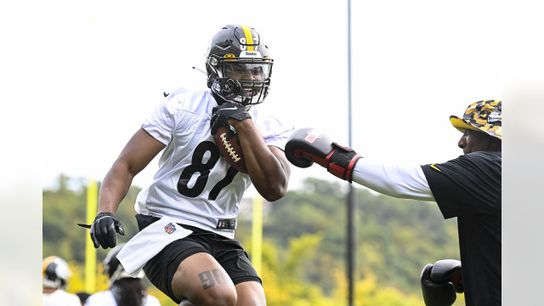 Steelers TE Rodney Williams Steelers TE Rodney Williams