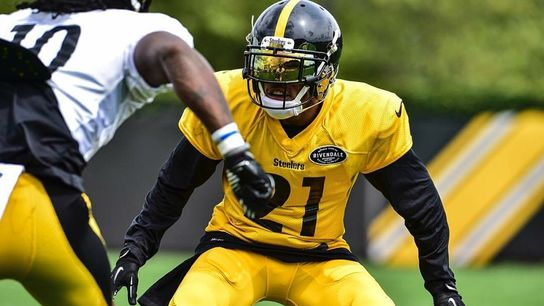 Actively Predicting the Inactive List: Week 16 (Steelers News)