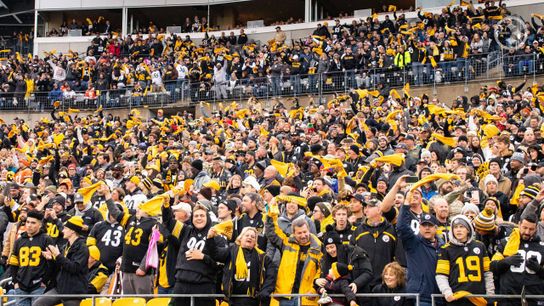 Steelers Steeler Nation Steelers Steeler Nation