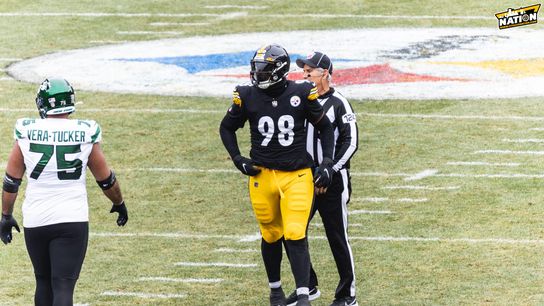Steelers DeMarvin Leal