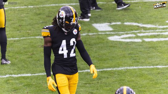 Steeler Nation Vidcast: What Are The Steelers' Needs Post Free Agency? (Pittsburgh Steelers)