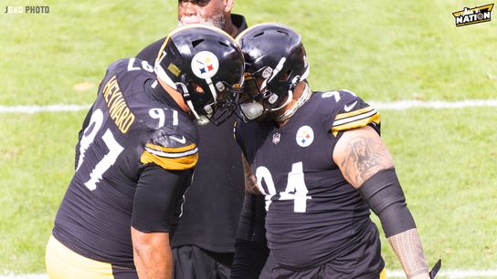 Steelers DL Cam Heyward and Tyson Alualu