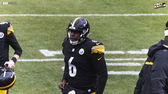 Steelers Pressley Harvin III Steelers Pressley Harvin III