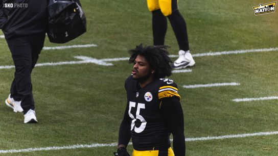 Steelers Devin Bush