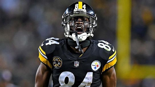 Steelers Antonio Brown