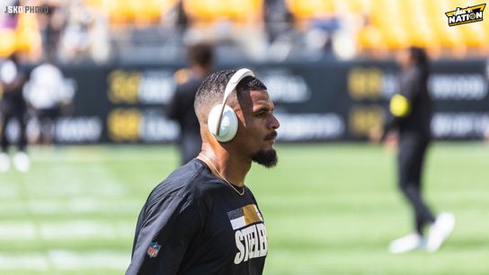 Steelers safety Minkah Fitzpatrick