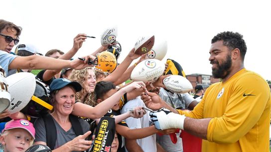 Steelers Cam Heyward Steelers Cam Heyward