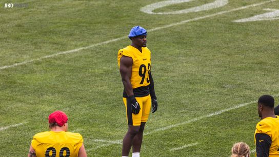 Steelers Mark Robinson Steelers Mark Robinson