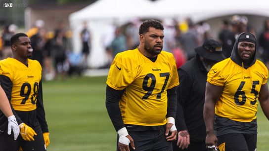 Steelers Cam Heyward and Larry Ogunjobi Steelers Cam Heyward and Larry Ogunjobi