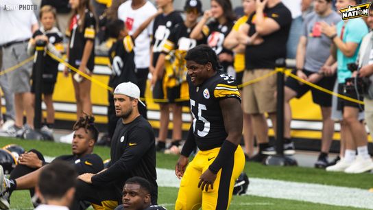 Steelers' Devin Bush