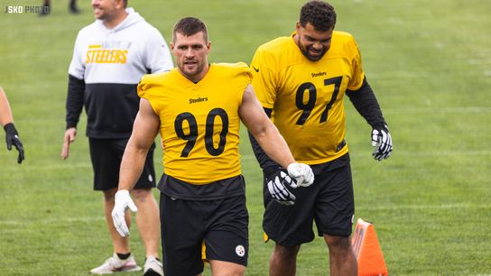 Steelers TJ Watt Cam Heyward Steelers TJ Watt Cam Heyward