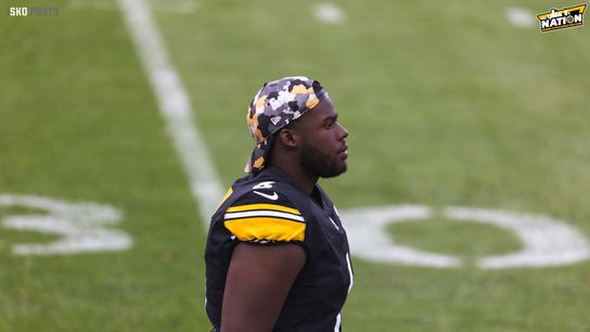 Steelers Pressley Harvin III Steelers Pressley Harvin III