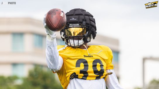 Steelers Minkah Fitzpatrick