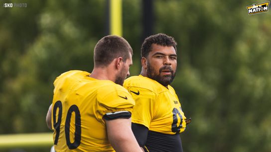 Steelers TJ Watt Cam Heyward Steelers TJ Watt Cam Heyward