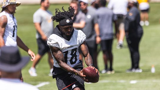 Steelers Diontae Johnson Steelers Diontae Johnson
