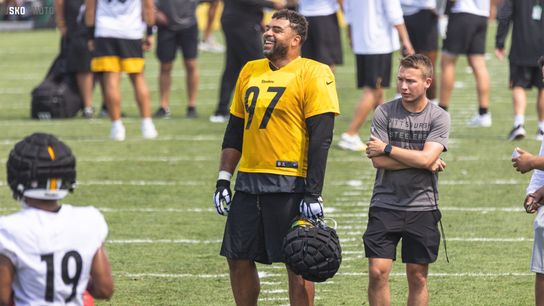 Steelers Cam Heyward