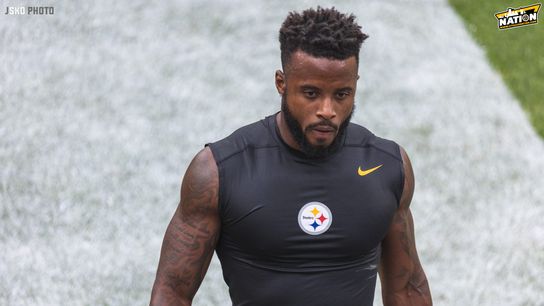 Steelers safety Linden Stephens