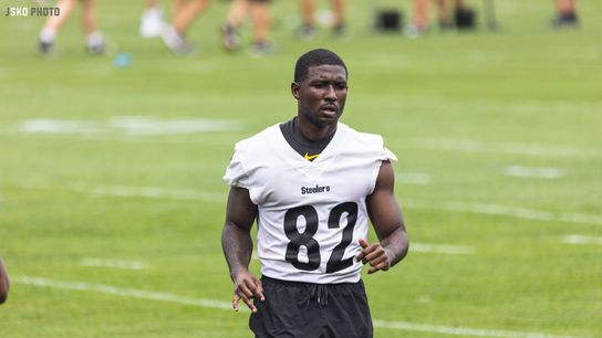 Steelers Steven Sims Steelers Steven Sims