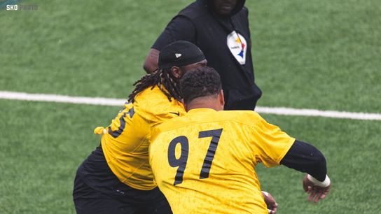 Steelers Cam Heyward Larry Ogunjobi Steelers Cam Heyward Larry Ogunjobi