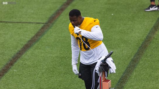 Steelers DeMarvin Leal