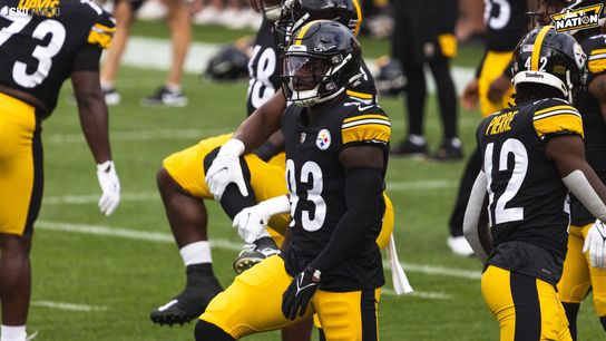 Steelers Mark Robinson