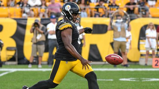 Steelers Punter Pressley Harvin III Steelers Punter Pressley Harvin III