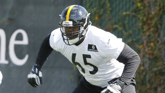 Two Injured in OTA's on Wednesday (Steeler Blog Posts)