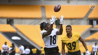 Steelers Madden Ratings Revealed For WRs And TEs, Diontae Johnson And Pat Freiermuth Absolutely Disrespected (Diontae Johnson News)