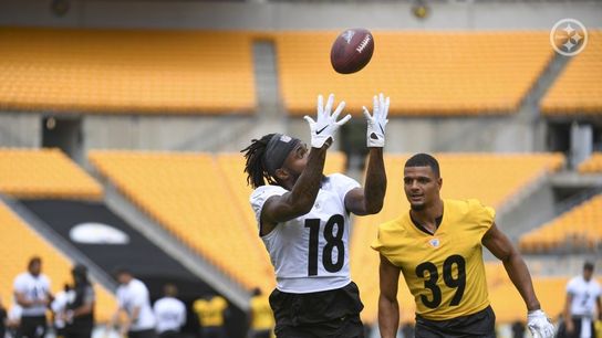 Steelers Diontae Johnson Minkah Fitzpatrick Steelers Diontae Johnson Minkah Fitzpatrick